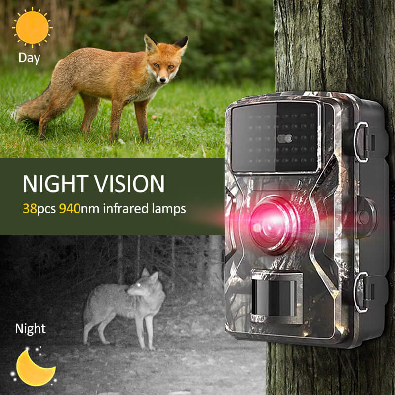 Caméra de chasse extérieure infrarouge nocturne