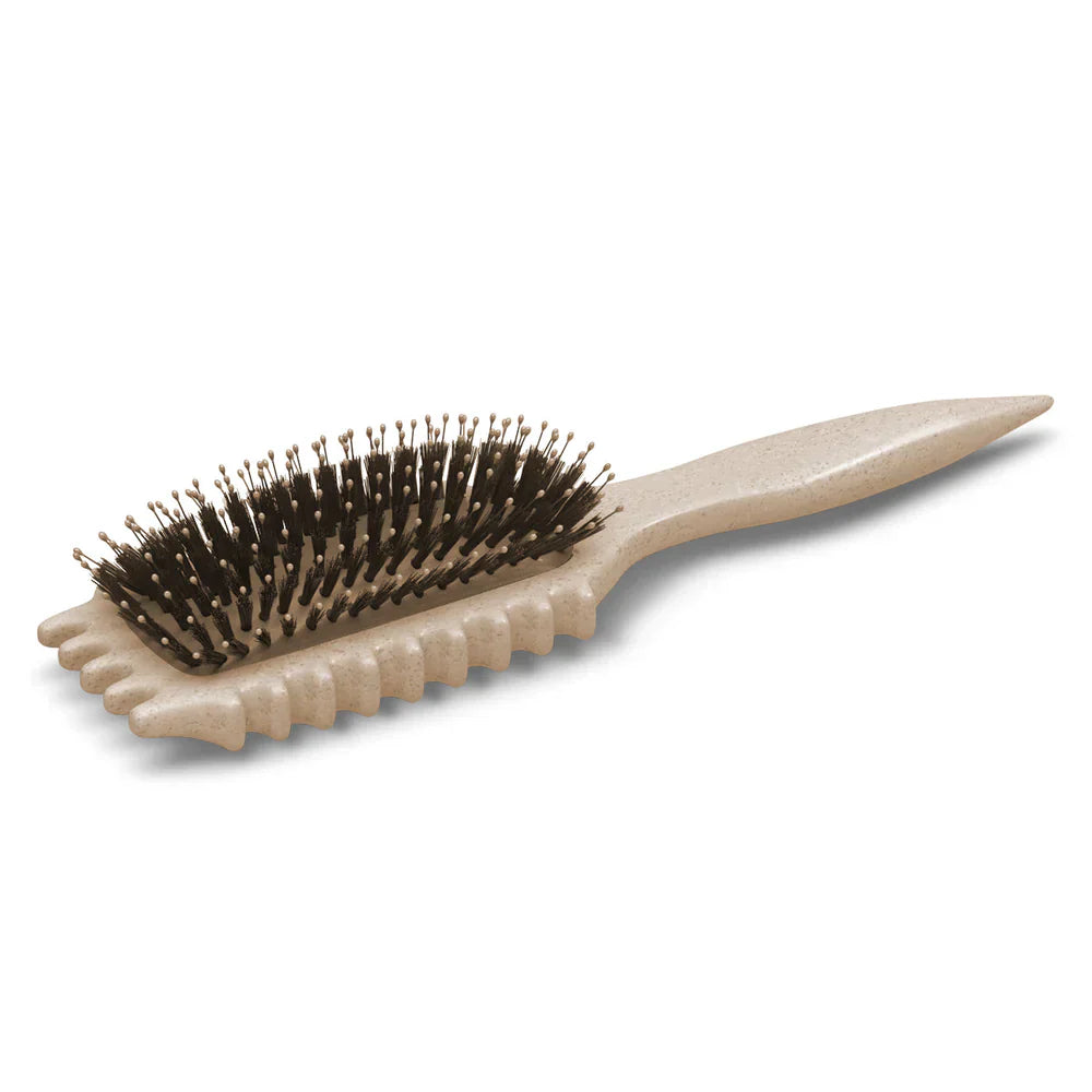 Brosse Démêlante Antifrisottis | Définition Boucles Cheveux Bouclés