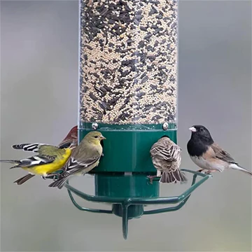 Mangeoire oiseaux anti-écureuil métal suspendue