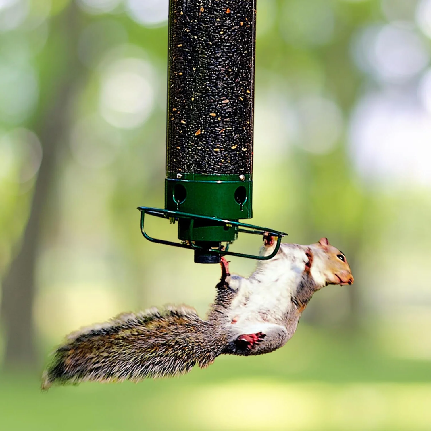 Mangeoire oiseaux anti-écureuil métal suspendue